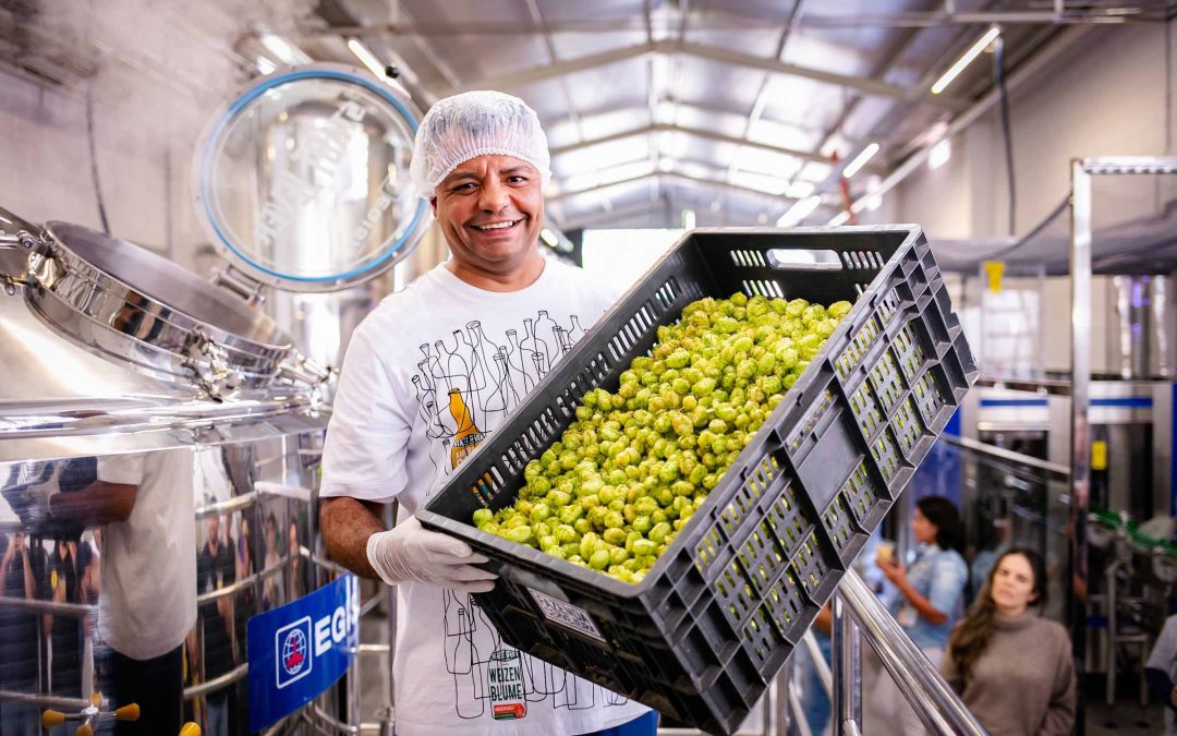 Festival Internacional de Cerveja e Cultura promove Congresso Técnico em novembro