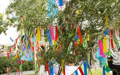 Tanabata Matsuri – Lenda das Estrelas chega com uma ampla programação cultural, artística e gastronômica, celebrando a conexão entre Brasil e Japão