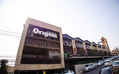 Feira de adoção de cães e gatos acontece no Mercado de Origem